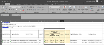 AMOUNT DUE ACCOUNTING FORMAT (1).png