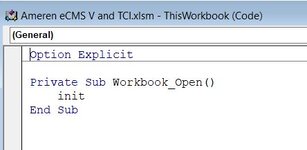 Ameren ThisWorkbook code.jpg