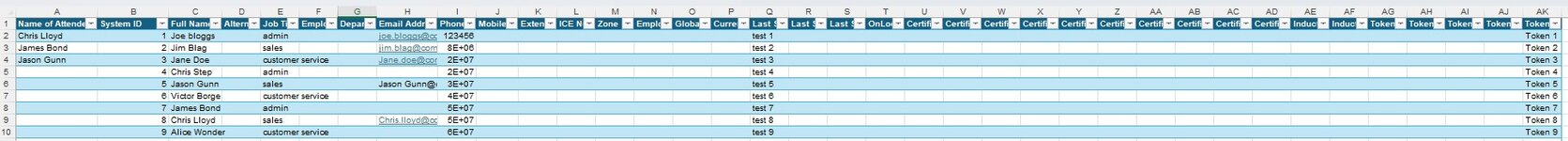 Excel Dummy Data.jpg