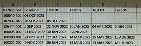 Excel Conditional Formatting Example Table.jpg