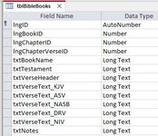 Design View of Main Table tblBibleBooks.jpg