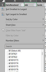 Sample Of Excel File to Filter.png