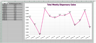 Excel Report Screen Capture.PNG