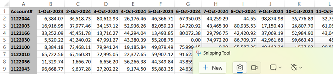 Sample sheet - BALANCES tab.png