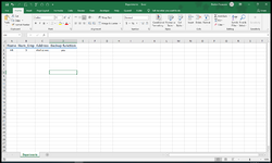 excel1.png