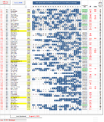 Sunday, Quotas, Aug 8, 2021.png