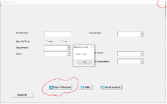 screen shot wound form error.png