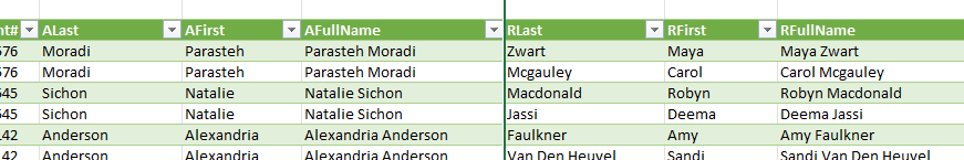 RFullName data table.PNG