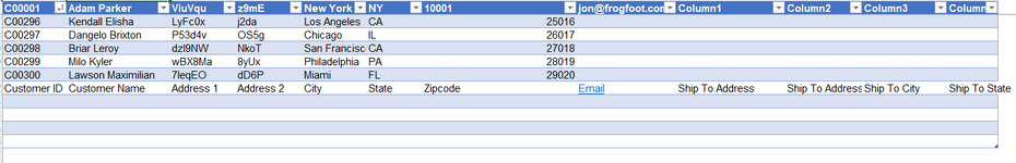 Customer Database 1 - Excel.png