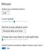 mouse.JPG