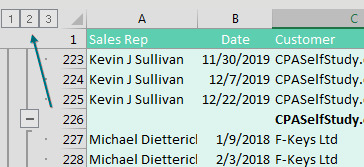 Subtotal Group and Outline Buttons