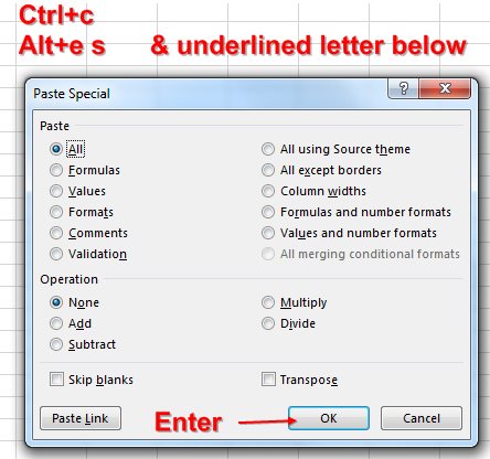 paste special shortcut excel mac parallels windows 10