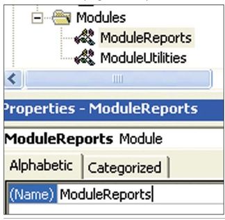 Figure 122. Organize your modules by changing their name in the Properties window.