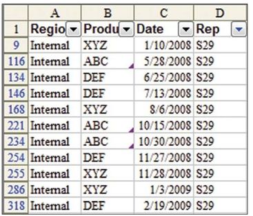 Figure 148. One line of code turns on the AutoFilter dropdowns and chooses S29 from the sales rep dropdown.