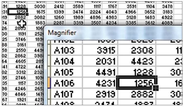 Figure 154. As you move the mouse around the screen, the user form shows a magnified picture of the area under the cursor.