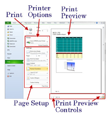 Change All Print Settings in Excel - Excel Tips - MrExcel Publishing