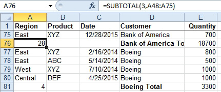 The formula in the Region column now shows 28, meaning that there are 28 rows in this section.