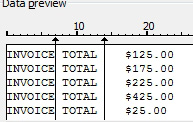 For Section 2, the Text to Column tries to create three columns that will say: 
Invoice
Total
and then the Actual Numeric total. 