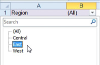 Open the Region drop-down in B1 and click on East. 