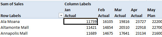 This shows the pivot table with the set applied.