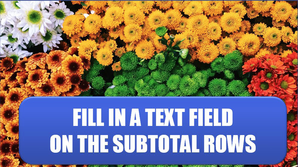 Excel Fill in a Text Field on the Subtotal Rows. Photo Credit: Jan Antonin Kolar at Unsplash.com