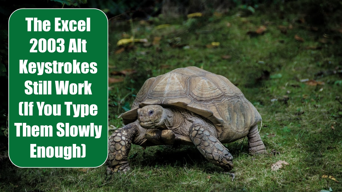 The Excel 2003 Alt Keystrokes Still Work (If You Type Them Slowly Enough)