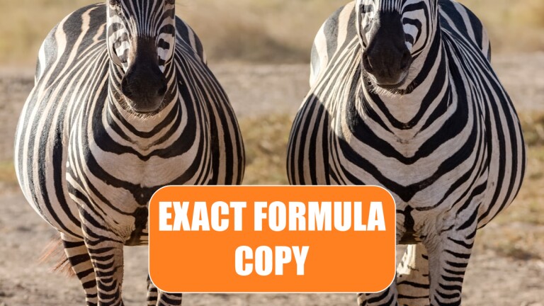 Copy Exact Value Excel Formula