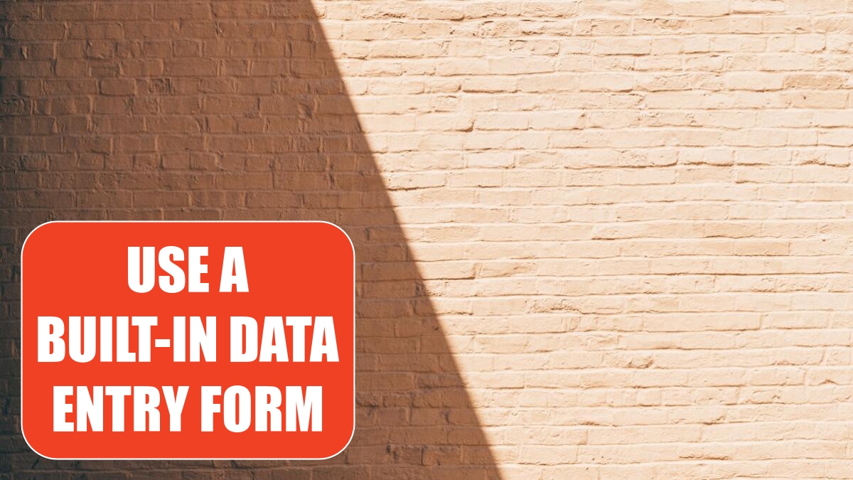 Use a Built-in Data Entry Form