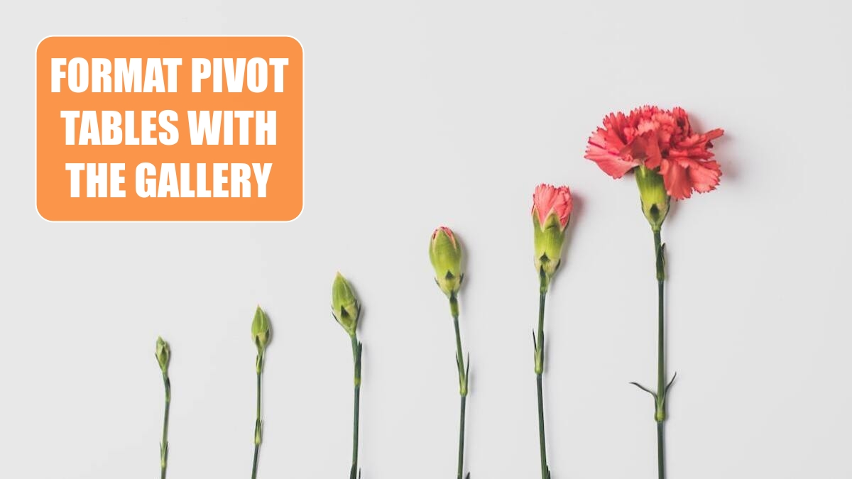 Format Pivot Tables with the Gallery