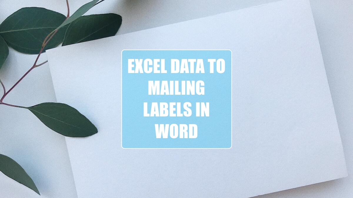 Excel Data to Mailing Labels in Word