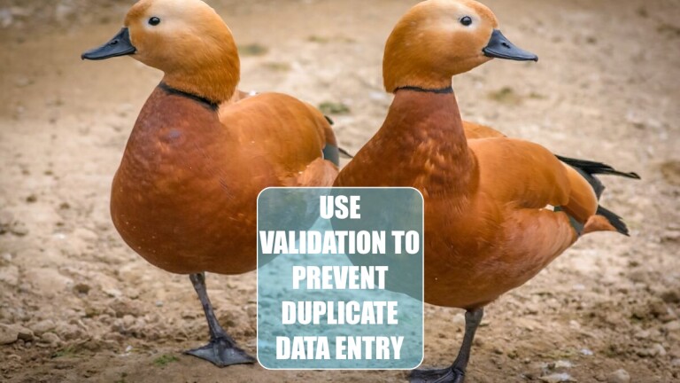 use-validation-to-prevent-duplicate-data-entry-excel-tips-mrexcel