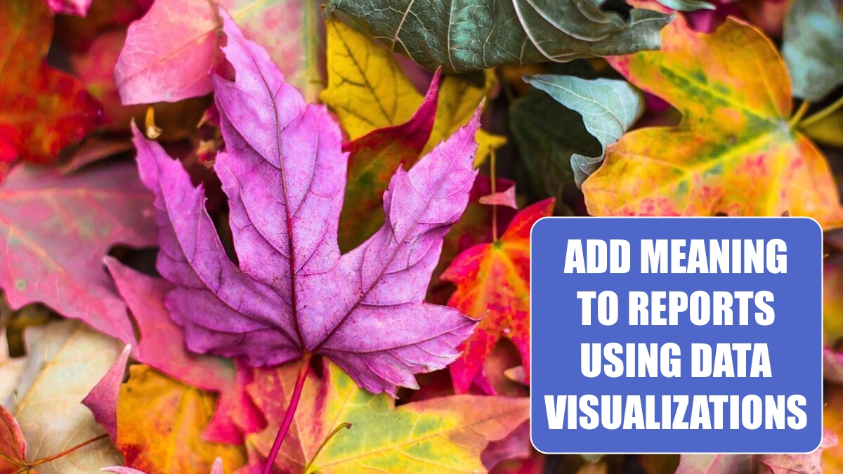 Excel 2024: Add Meaning to Reports Using Data Visualizations