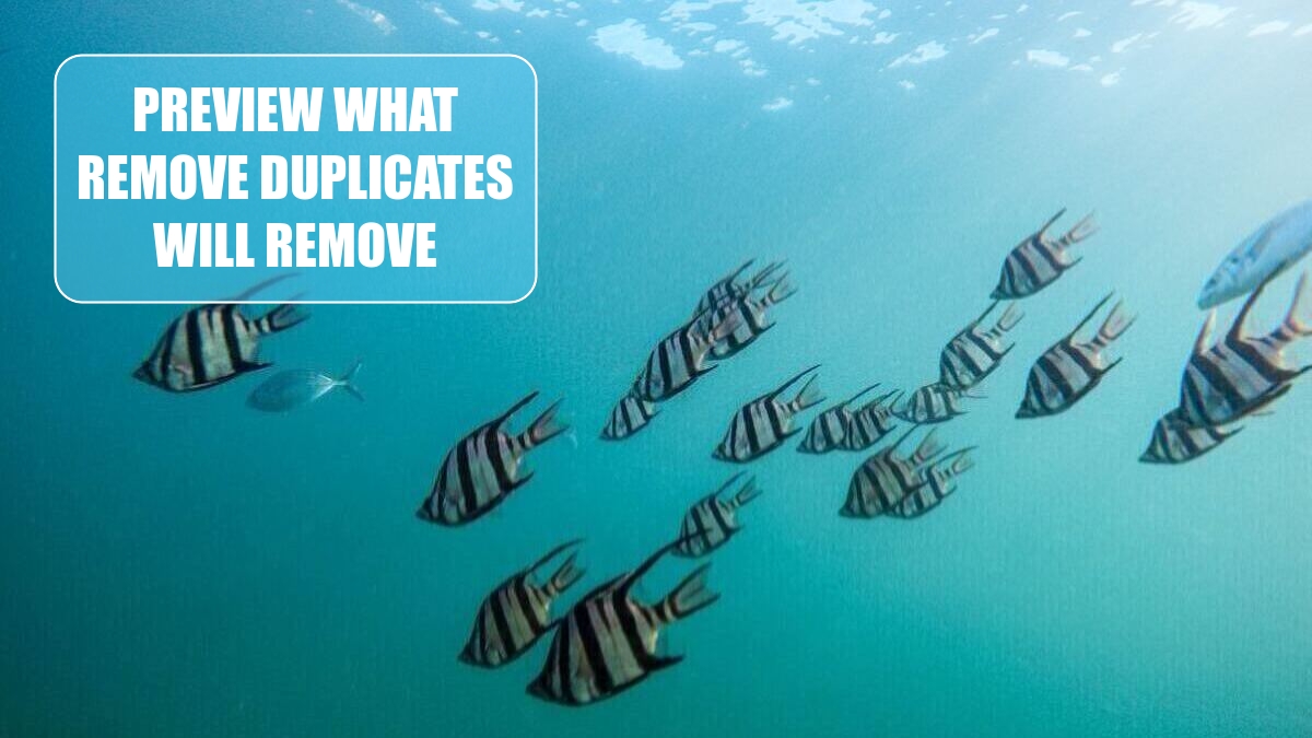Excel 2024: Preview What Remove Duplicates Will Remove