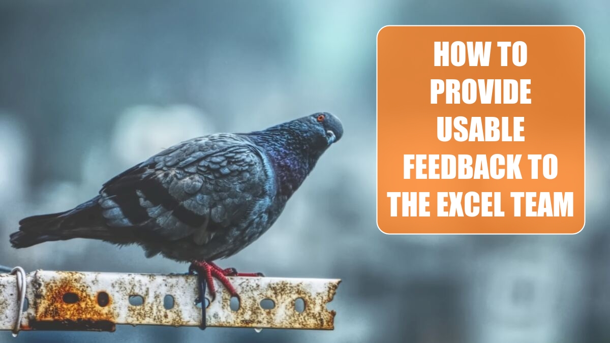 Excel 2024: How to Provide Usable Feedback to the Excel Team